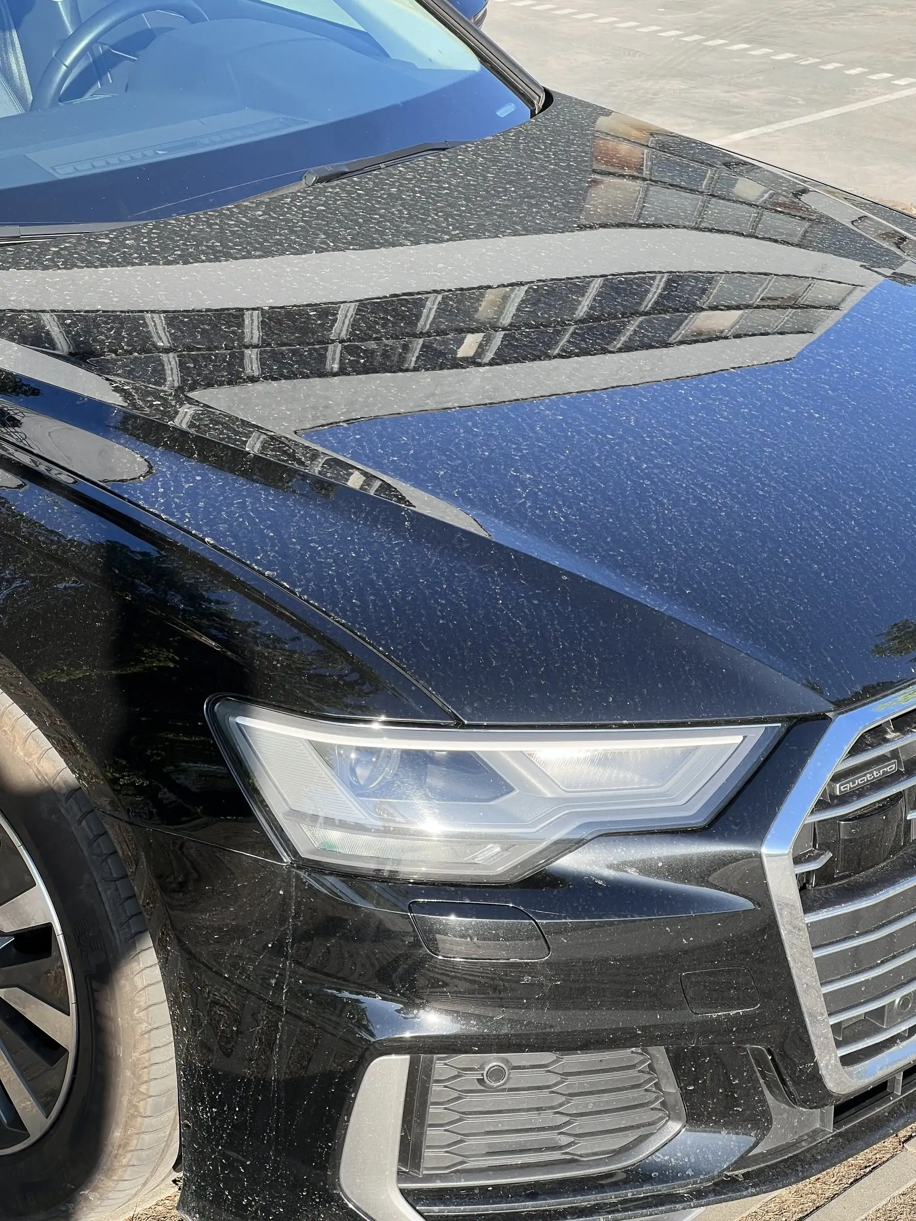 Audi A6 — lakier przed detailingiem