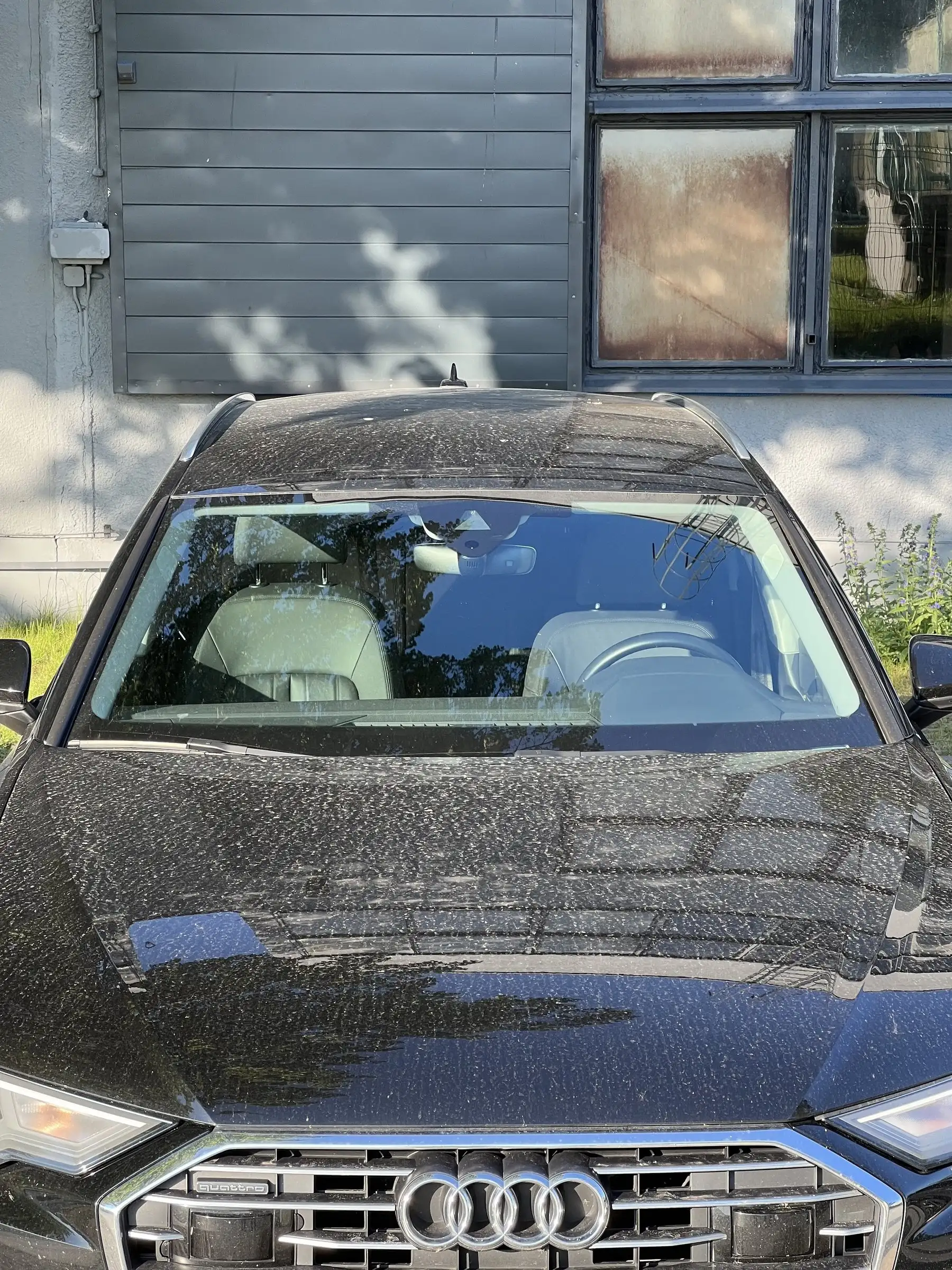 Audi A6 — lakier przed detailingiem