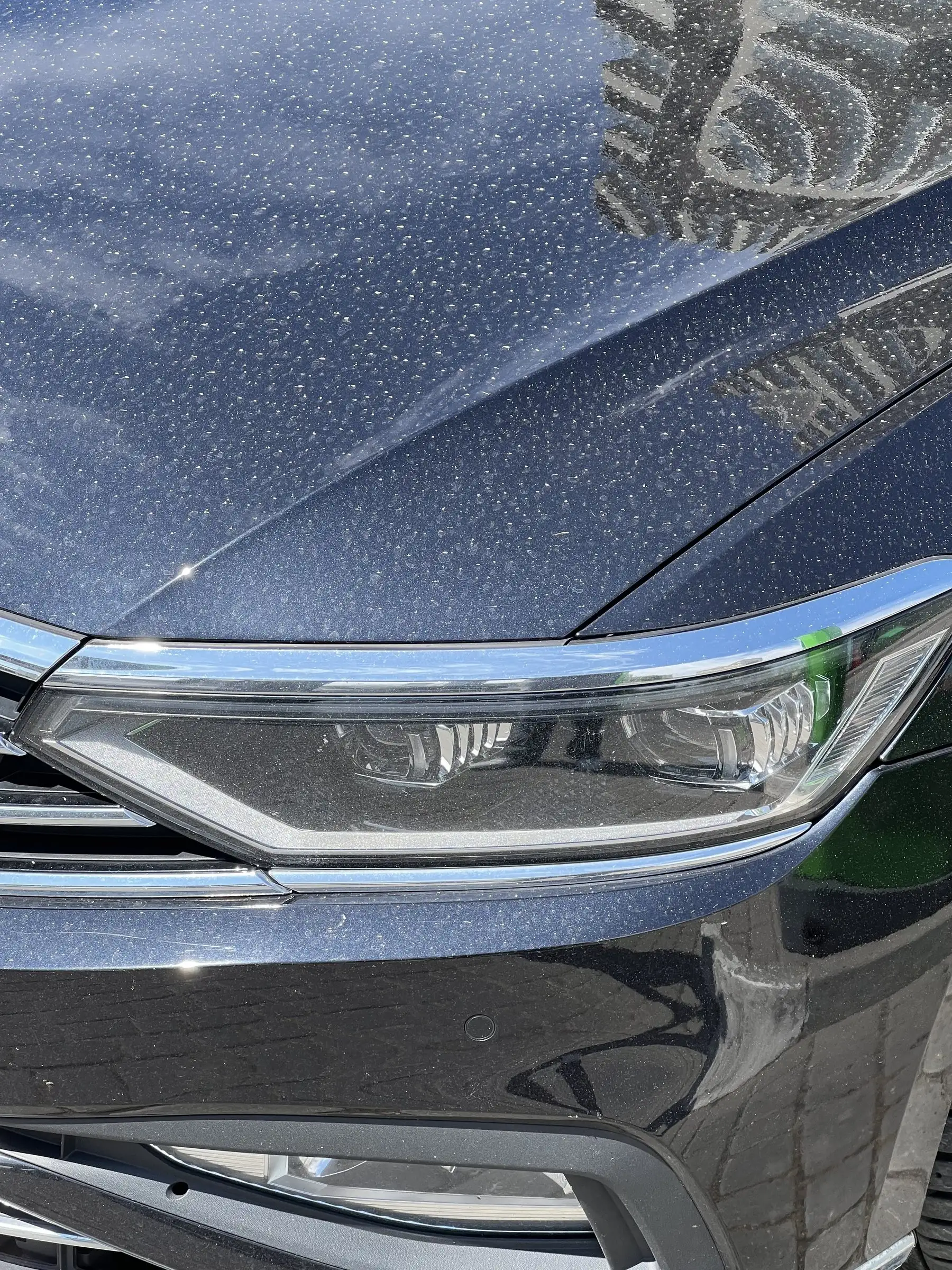Volkswagen Passat — lakier przed detailingiem